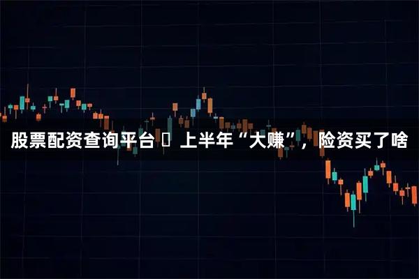 股票配资查询平台 ​上半年“大赚”，险资买了啥