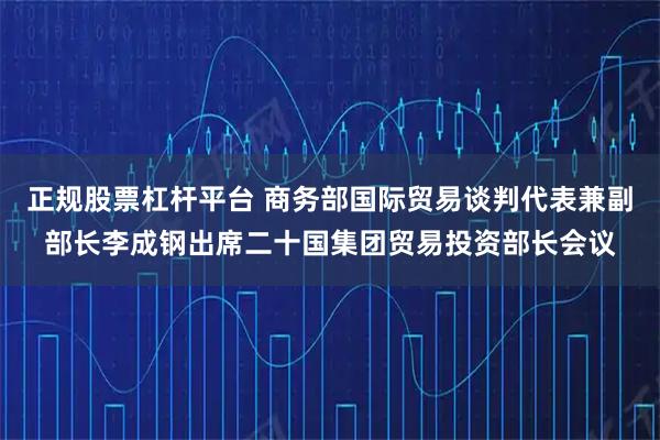 正规股票杠杆平台 商务部国际贸易谈判代表兼副部长李成钢出席二十国集团贸易投资部长会议