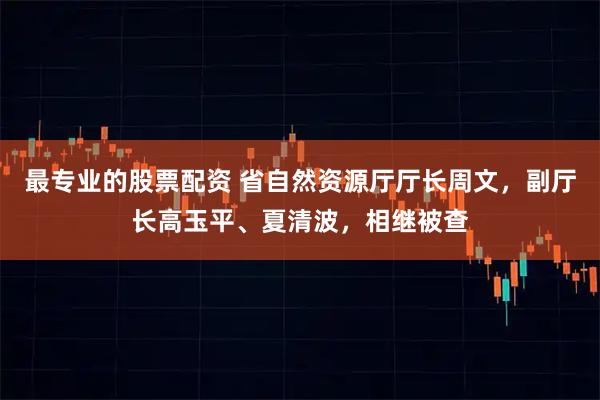 最专业的股票配资 省自然资源厅厅长周文，副厅长高玉平、夏清波，相继被查